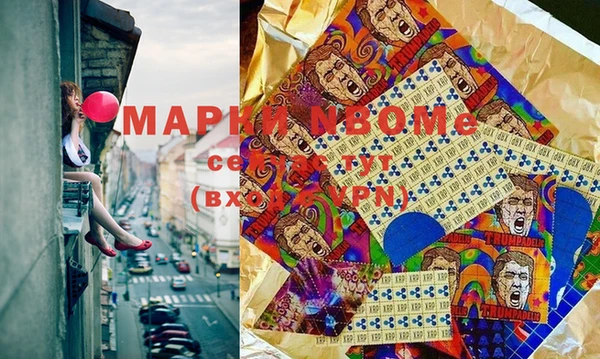 индика Михайловка