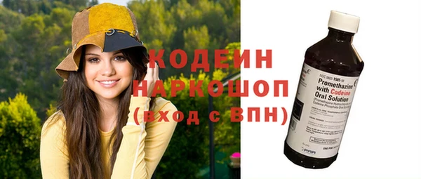индика Михайловка