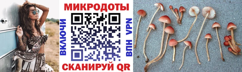 Псилоцибиновые грибы MAGIC MUSHROOMS  Минусинск 