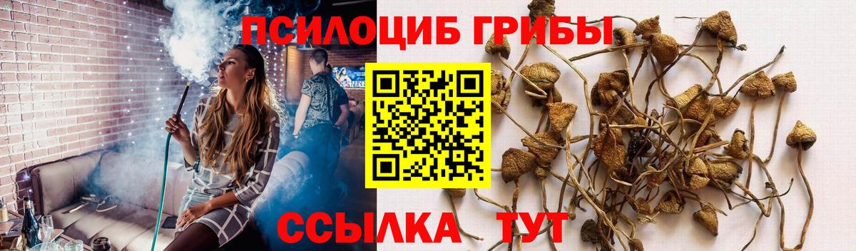 Псилоцибиновые грибы GOLDEN TEACHER  Вход с VPN  Минусинск 